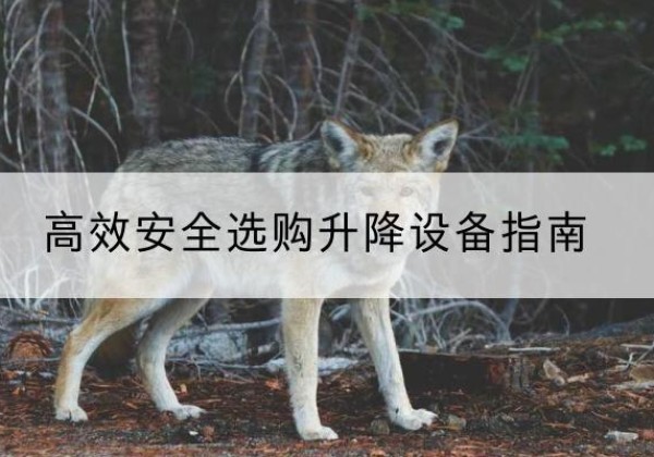 灵石升降货梯厂家推荐-*安全选购升降设备指南