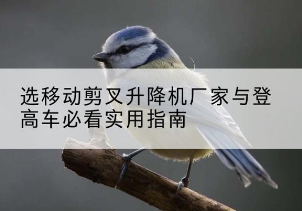灵石电动升降机厂家-选移动剪叉升降机厂家与登高车必看实用指南