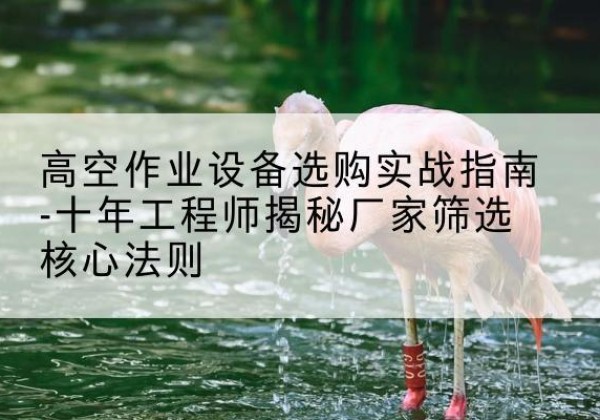 灵石剪叉式升降机厂家-高空作业设备选购实战指南-十年工程师揭秘厂家筛选核心法则